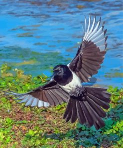 Eurasian Magpie Diamond Paintings