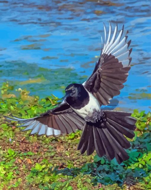 Eurasian Magpie Diamond Paintings