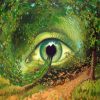 Eye In The Forest Diamond Paintings