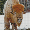 Buffalo In Snow Diamond Paintings