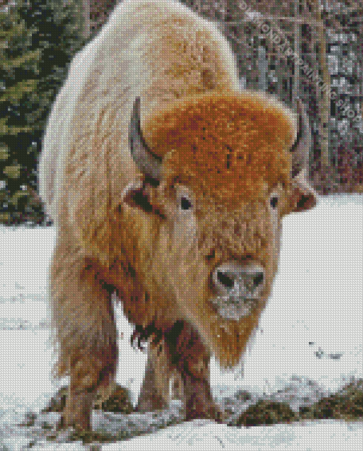 Buffalo In Snow Diamond Paintings