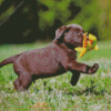 Brown Labrador Puppy Diamond Paintings