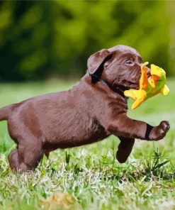 Brown Labrador Puppy Diamond Paintings