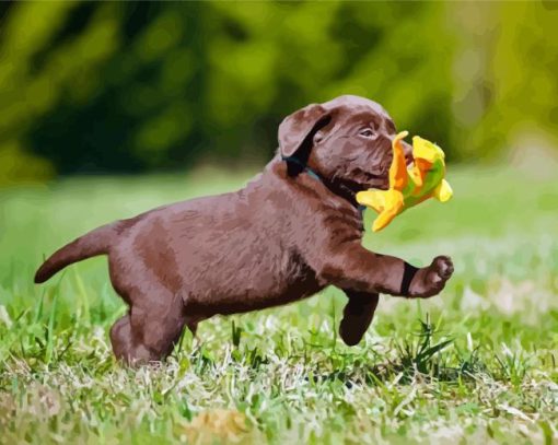 Brown Labrador Puppy Diamond Paintings